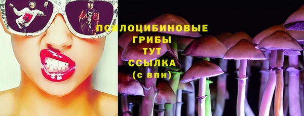МДПВ Алзамай