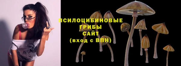 2c-b Алексин