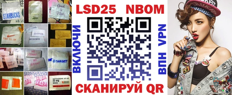 как найти наркотики  Курчалой  Лсд 25 экстази кислота 