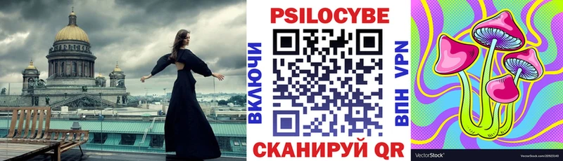 Галлюциногенные грибы Cubensis что такое Курчалой