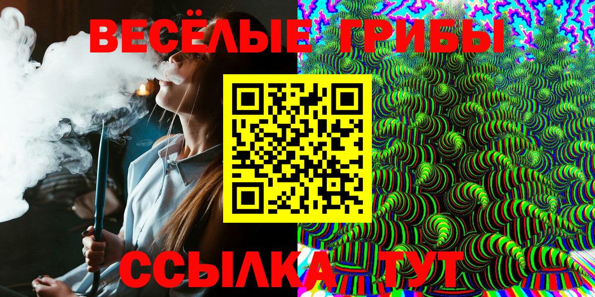 Галлюциногенные грибы MAGIC MUSHROOMS  Псилоцибиновые грибы Magic Shrooms  Вход с VPN  Курчалой 