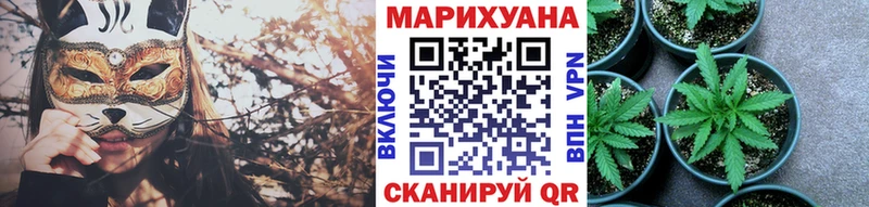 Бошки Шишки AK-47 Курчалой